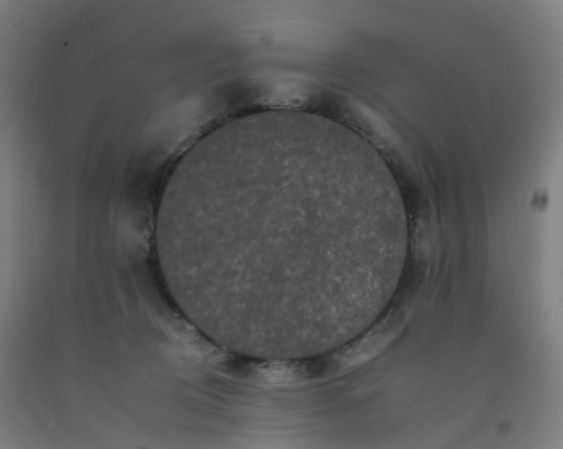 X0000092250370200709281148