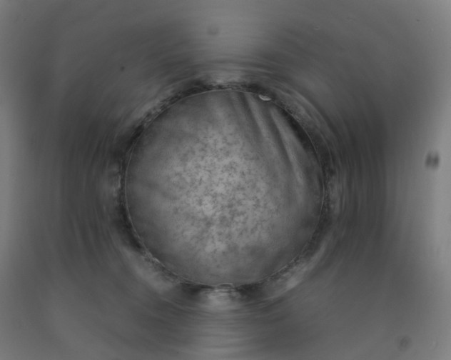 X0000092250372200709281148