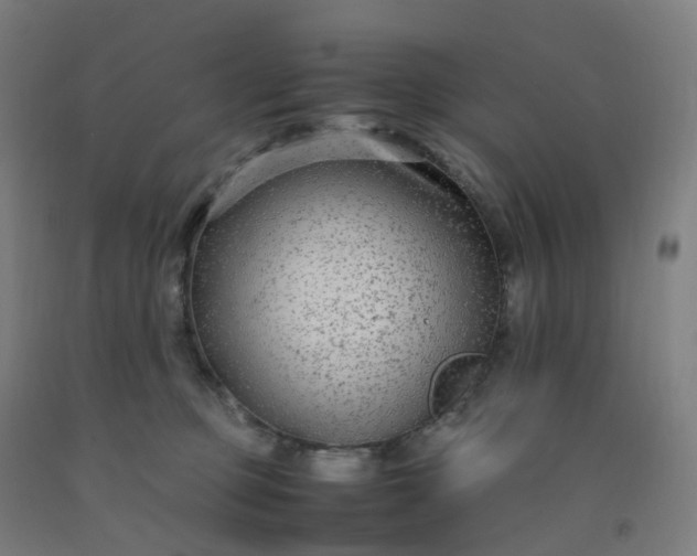 X0000092250373200709281148