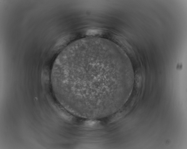 X0000092250375200709281148