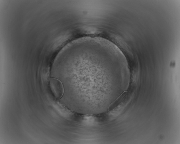 X0000092250376200709281148