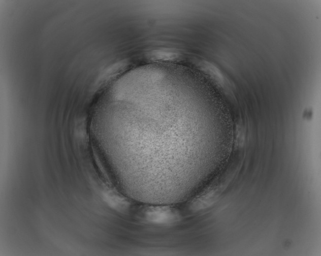 X0000092250377200709281148