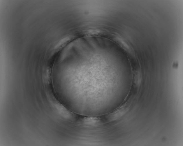 X0000092250378200709281148