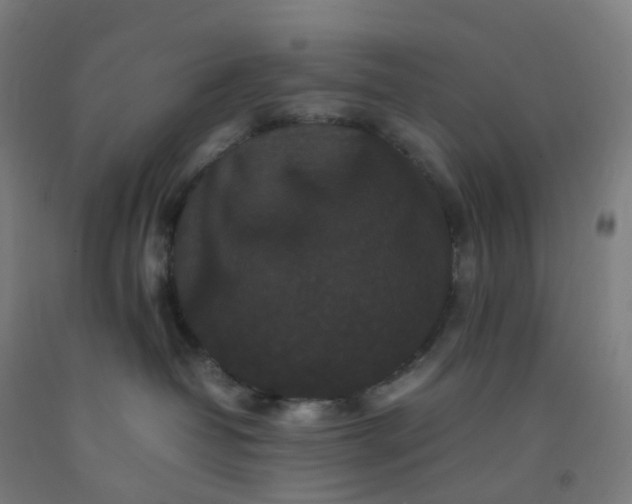 X0000092250382200709281149