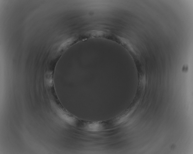 X0000092250383200709281149