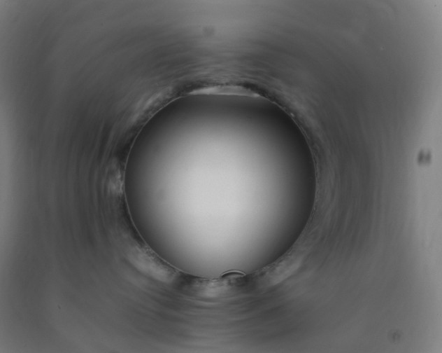 X0000092250384200709281149