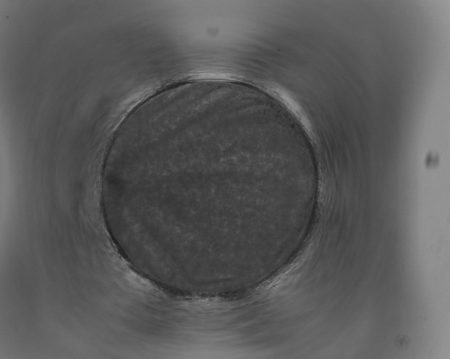 X0000092250385200709281148