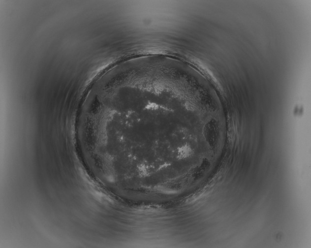 X0000092250386200709281148