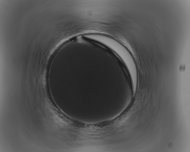 X0000092250387200709281148