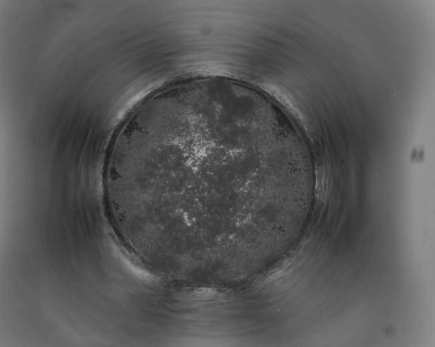 X0000092250390200709281148