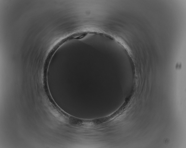 X0000092250391200709281148