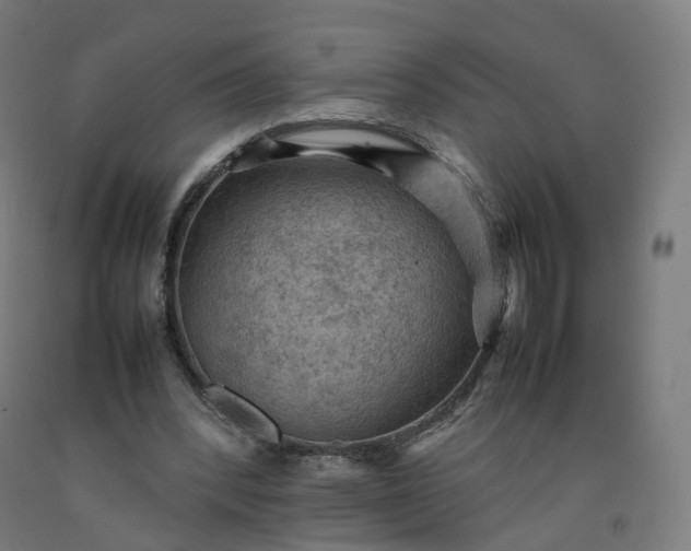 X0000092250392200709281148