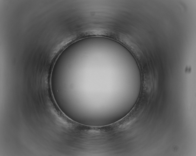 X0000092250394200709281148