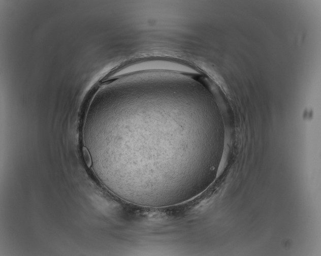 X0000092250395200709281148