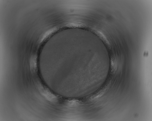 X0000092250396200709281148