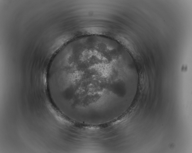 X0000092250398200709281148