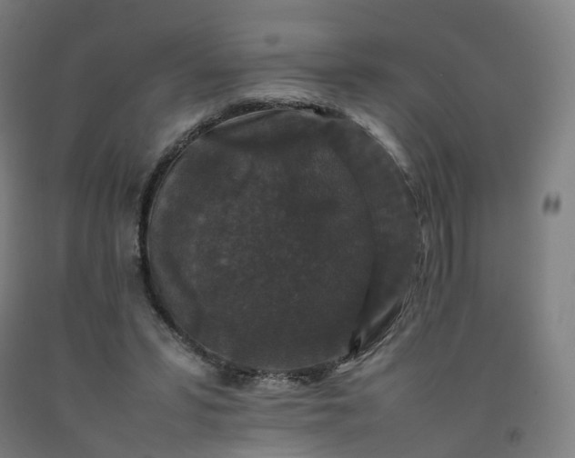 X0000092250399200709281148