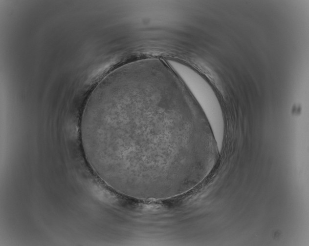 X0000092250401200709281148