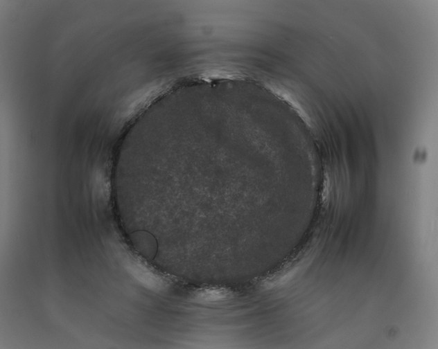 X0000092250402200709281148