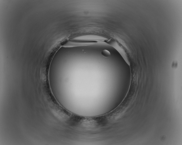 X0000092250403200709281148