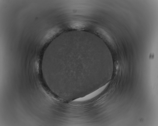 X0000092250404200709281148