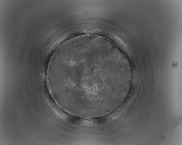 X0000092250405200709281148