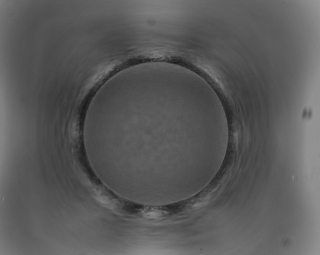 X0000092250407200709281148