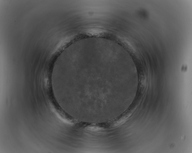 X0000092250408200709281148