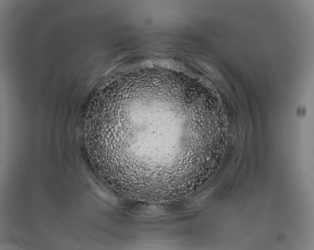 X0000092250409200709281148