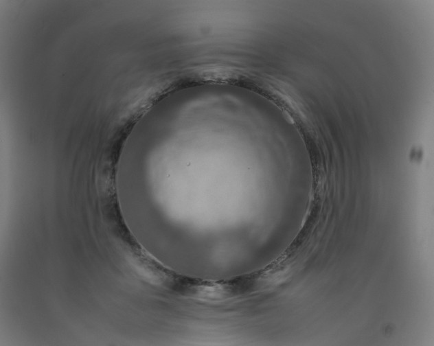 X0000092250411200709281148