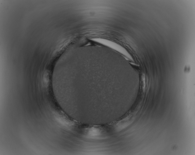 X0000092250412200709281148