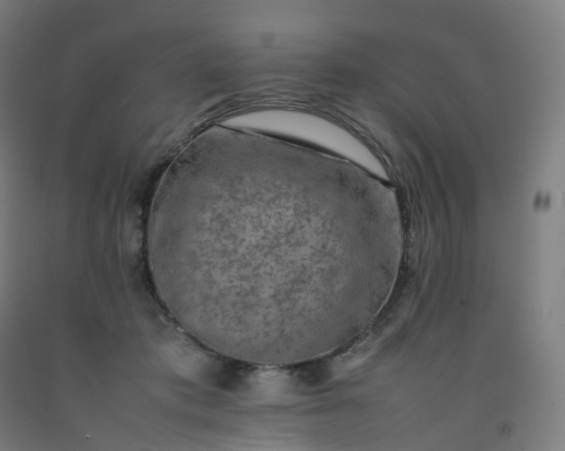 X0000092250413200709281148