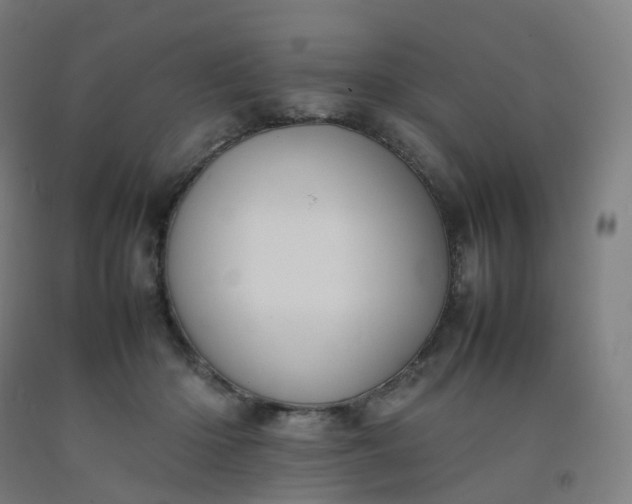 X0000092250414200709281148