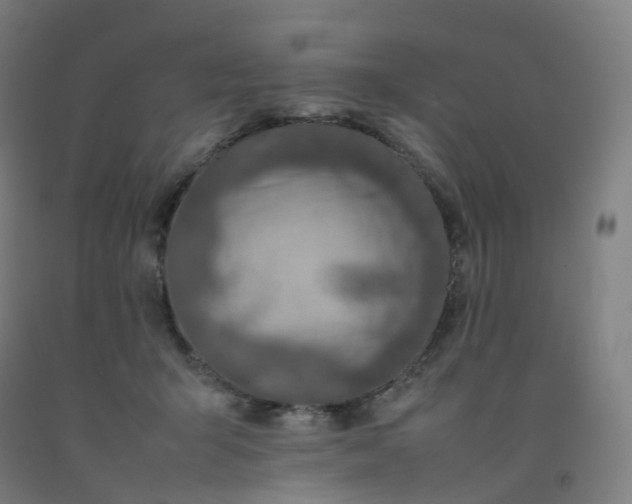 X0000092250415200709281148