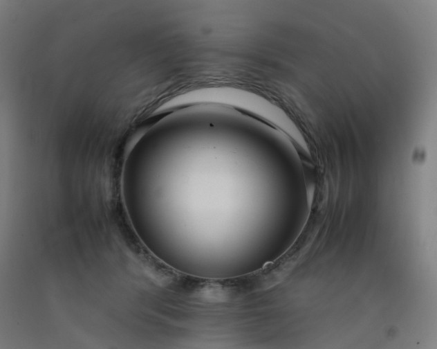 X0000092250416200709281148