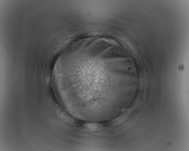 X0000092250417200709281148