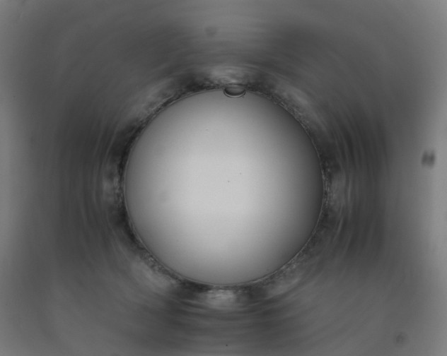 X0000092250418200709281148