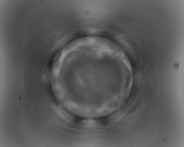 X0000092250419200709281148