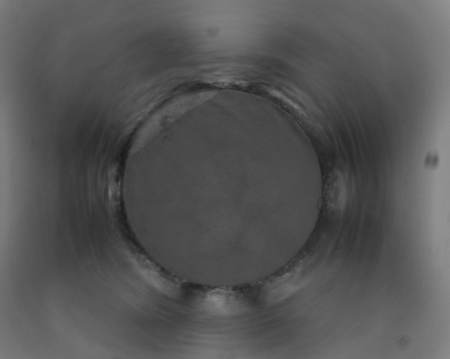 X0000092250420200709281148