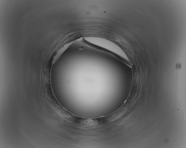 X0000092250421200709281148