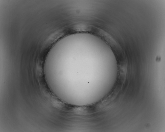 X0000092250422200709281148