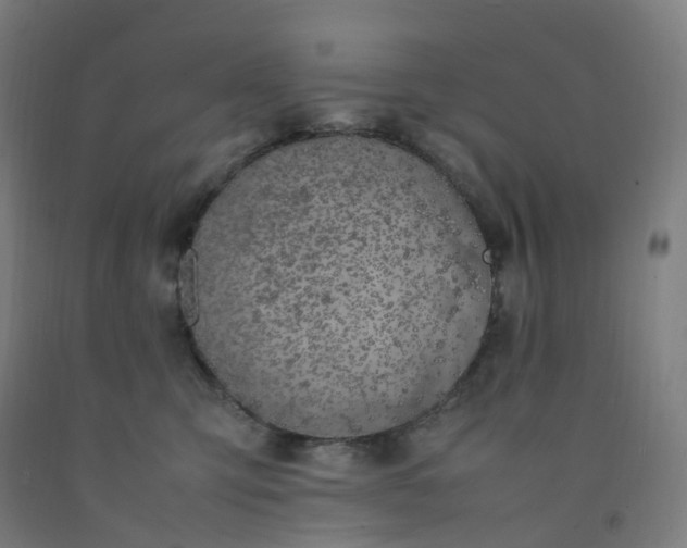 X0000092250423200709281147