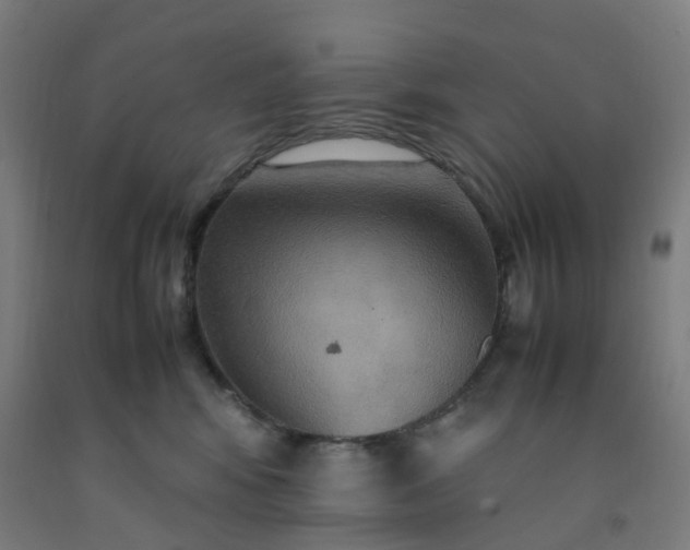 X0000092250424200709281147