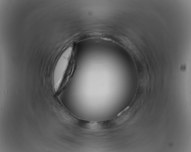 X0000092250425200709281147