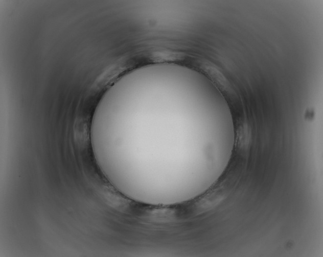 X0000092250426200709281147