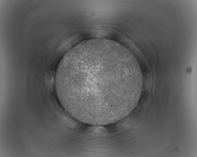 X0000092250427200709281147