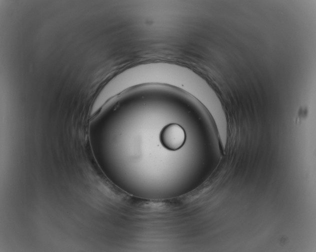 X0000092250428200709281147