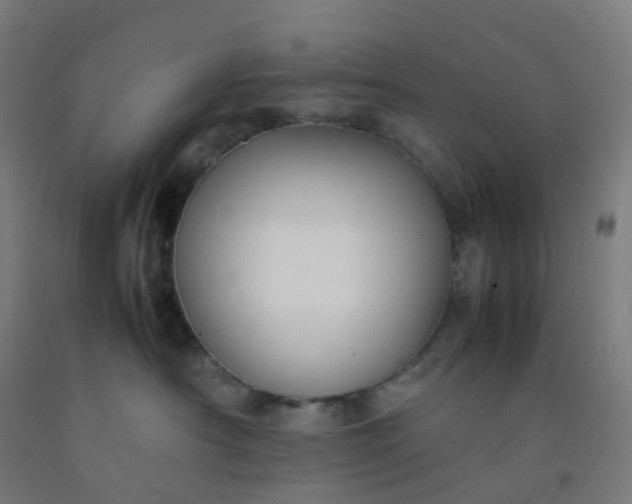 X0000092250430200709281147