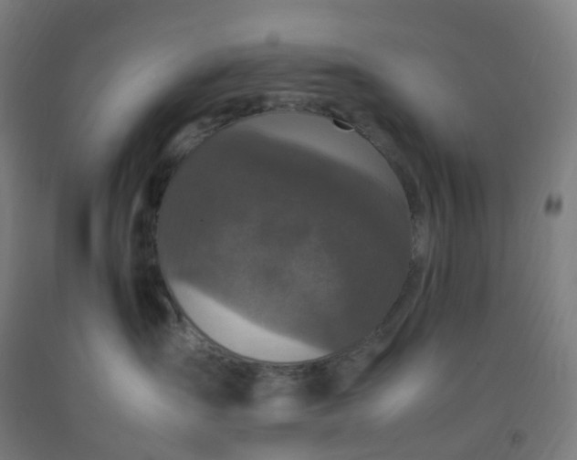 X0000092250431200709281147