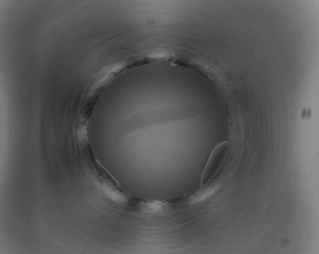 X0000092250432200709281147